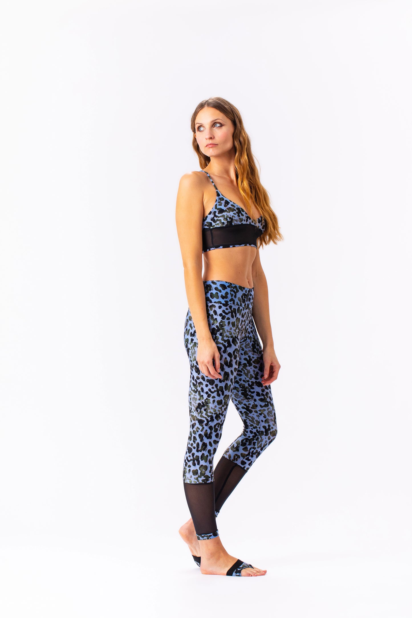 HORIZON top